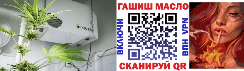 Купить  Менделеевск  Дистиллят ТГК концентрат 